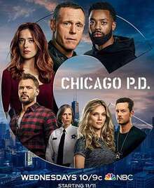 芝加哥警署:第八季