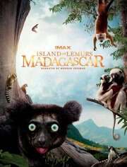 馬達加斯加:狐猴之島