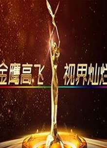 第六屆中國金鷹電視藝術節開幕式