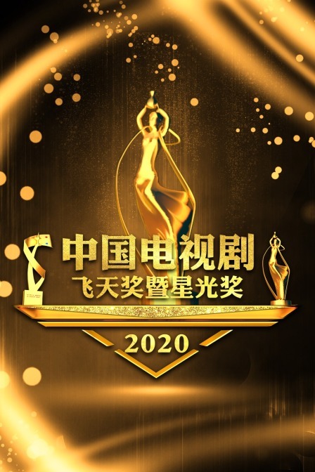 中國電視劇飛天獎暨星光獎