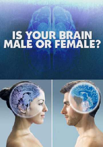 你的大腦是男性還是女性