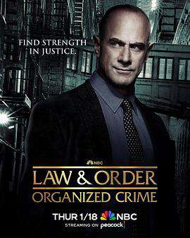 法律與秩序:組織犯罪:第四季